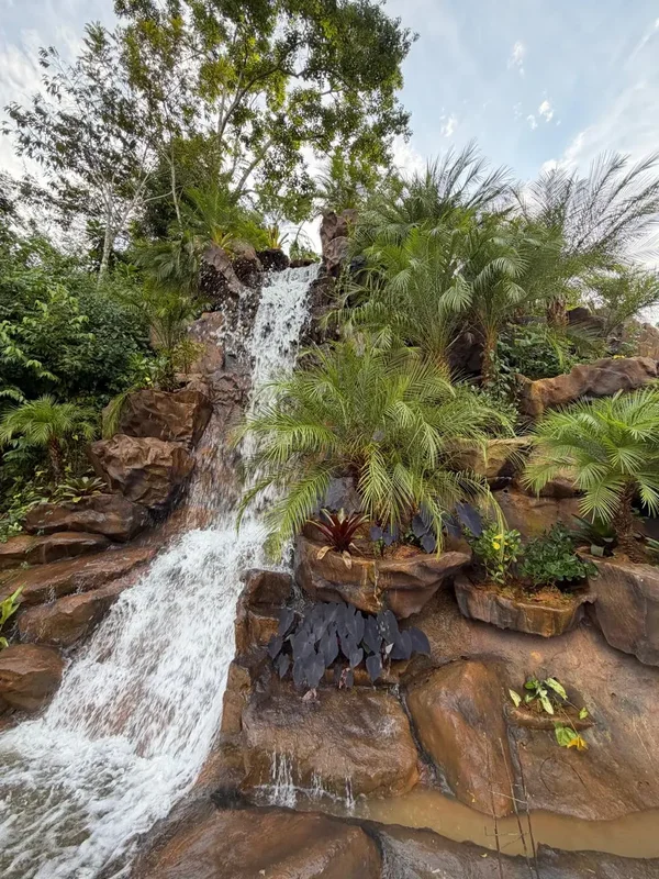 Cascata com pedras ornamentais e vegetação